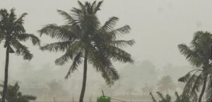 Cyclone Fengal: साइक्लोन फेंगल अंडमान सागर से उठी तबाही, देश के कई हिस्सों को प्रभावित करेगी
