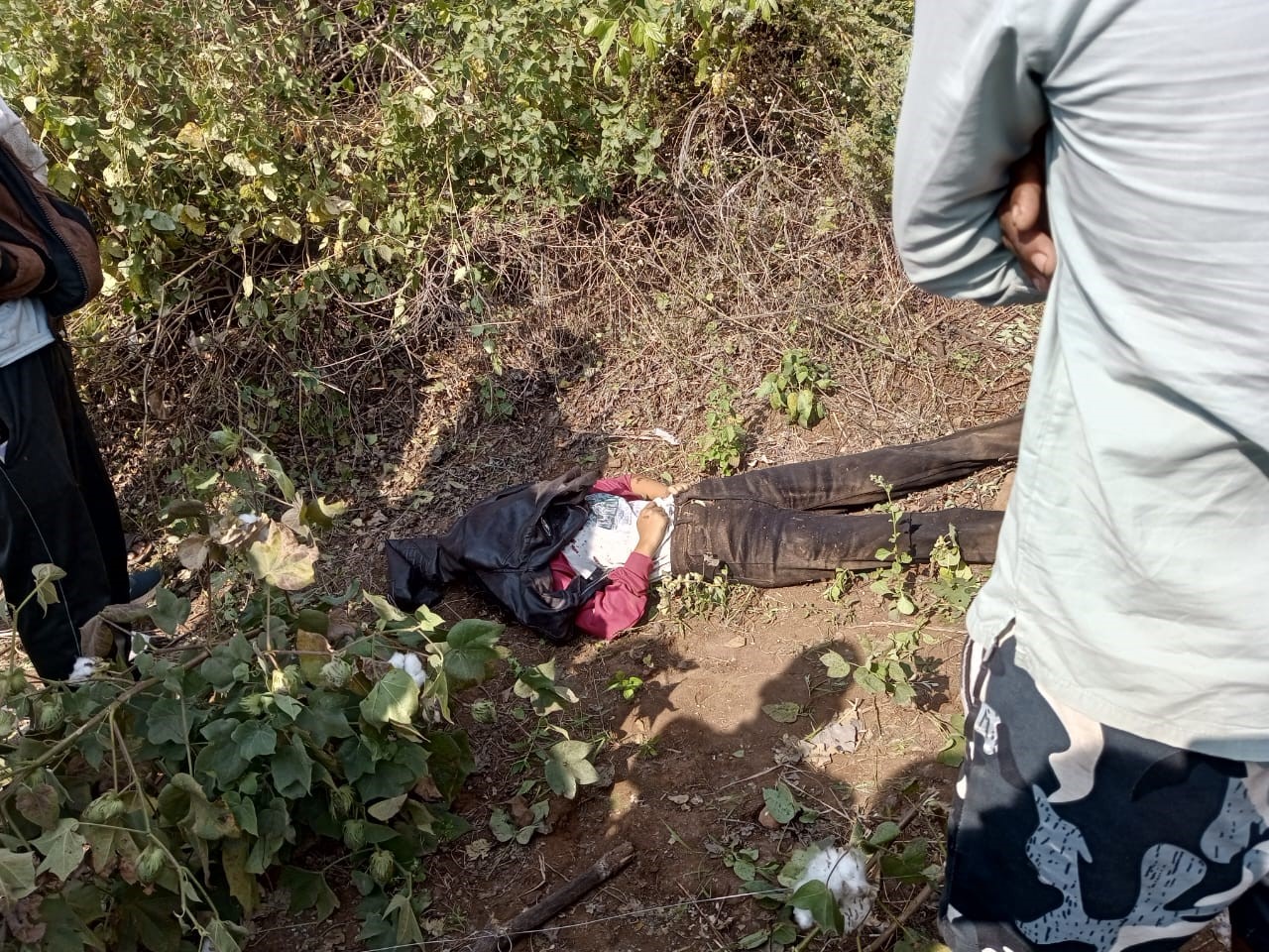 नागपुर में दर्दनाक हादसा: छात्रों को पिकनिक ले जा रही स्कूल की बस पलटी; दो की मौत, कई छात्र घायल