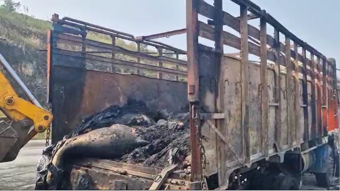 Truck driver set fire to cows and calves