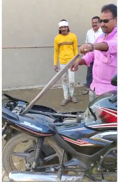 टूव्हीलर की सीट में छिपे कोबरा से अनजान शख्स गाड़ी चला रहा था