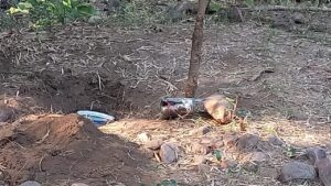 गढ़चिरौली पुलिस ने माओवादियों की साजिश को कर दिया नाकाम