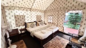 महाकुंभ 2025: कैसे शामिल हों कुंभ में? कहां रजिस्ट्रेशन करवाएं? रुकने की व्यवस्था कहां है? कितना खर्च होगा? सभी सवालों के जवाब यहां देखिए