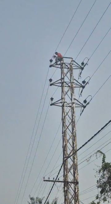 तेलंगाना: पोल पर चढ़ गया युवक.. सच जानकर चौंक गए!