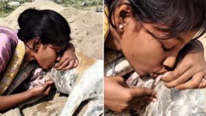 Viral Video: रील्स बनाने कुतिया का दूध पिया लड़की ने, सोशल मीडिया में जमकर ट्रोल हो रही है