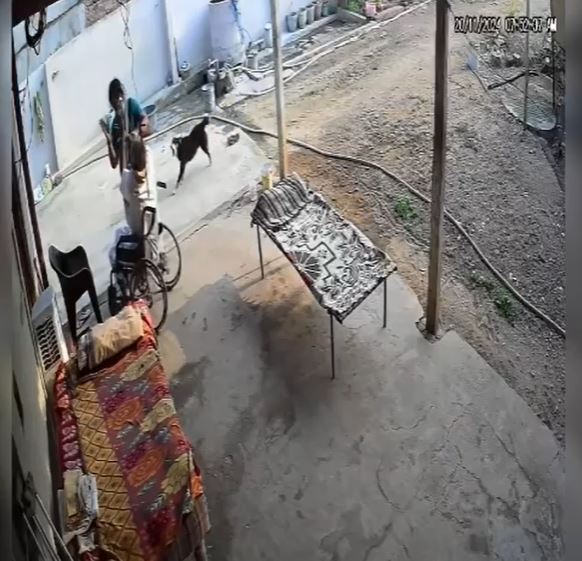 अपाहिज ससुर को बहू ने जूतों से पीटा