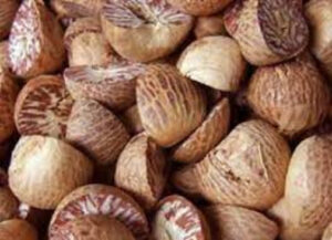 52 लाख की सुपारी से लदा ट्रक लेकर मालक और ड्राइवर फरार 